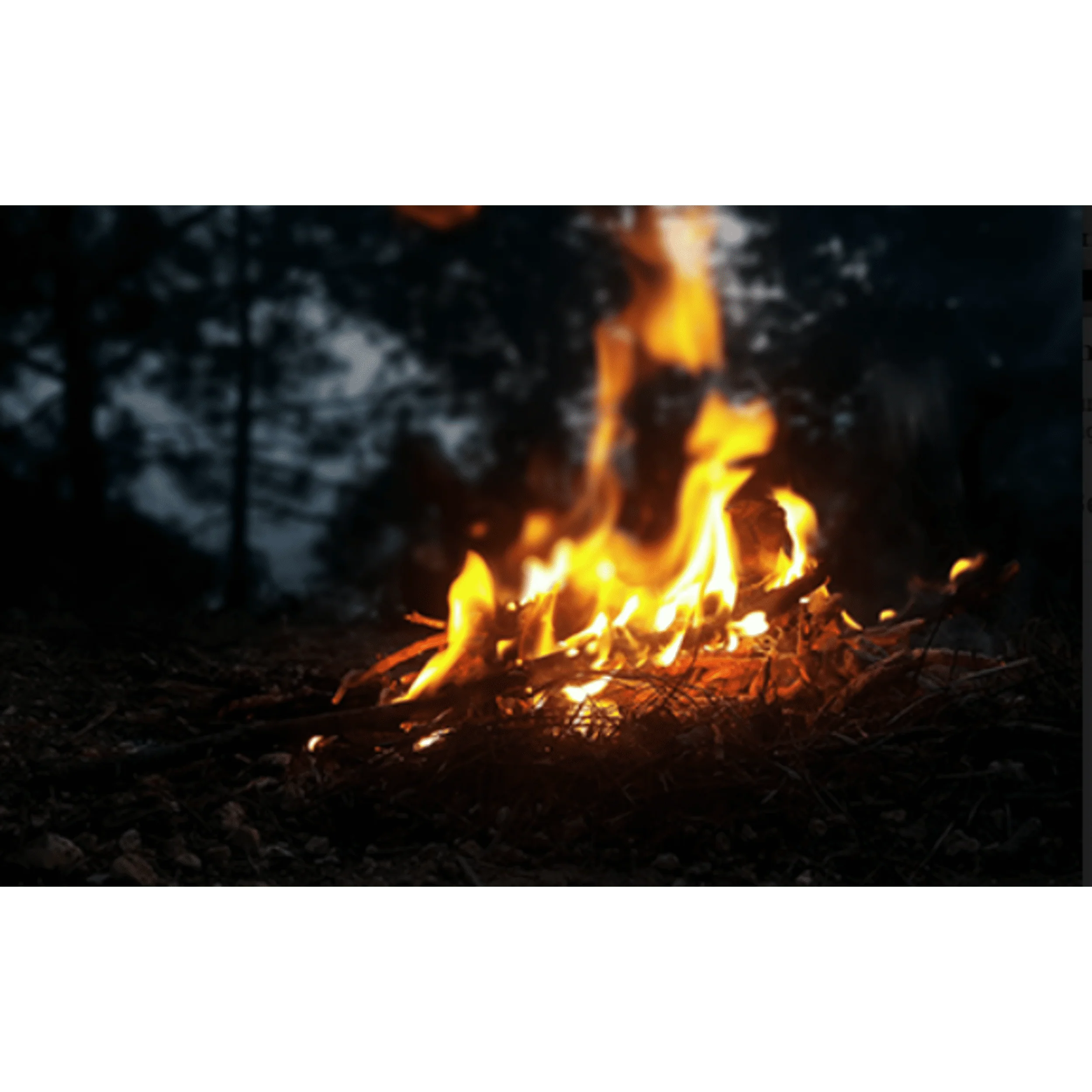 Diamond Strike-a-Fire Fire Starters, 48 Ct E738