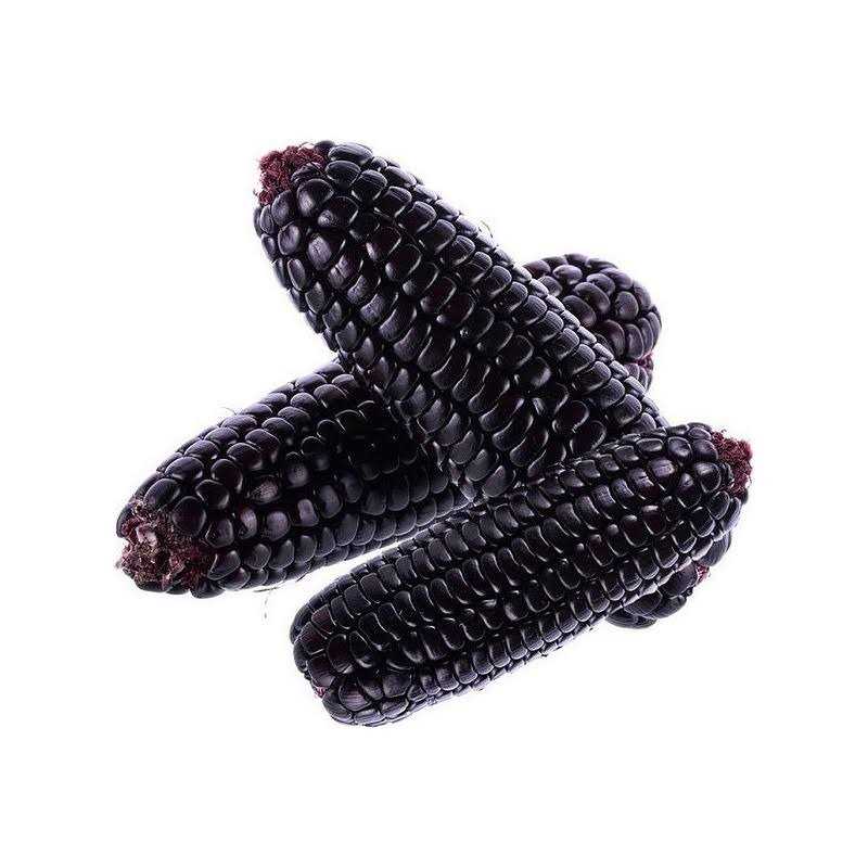 Incas Food Maiz Morado Purple Corn Cob U31489