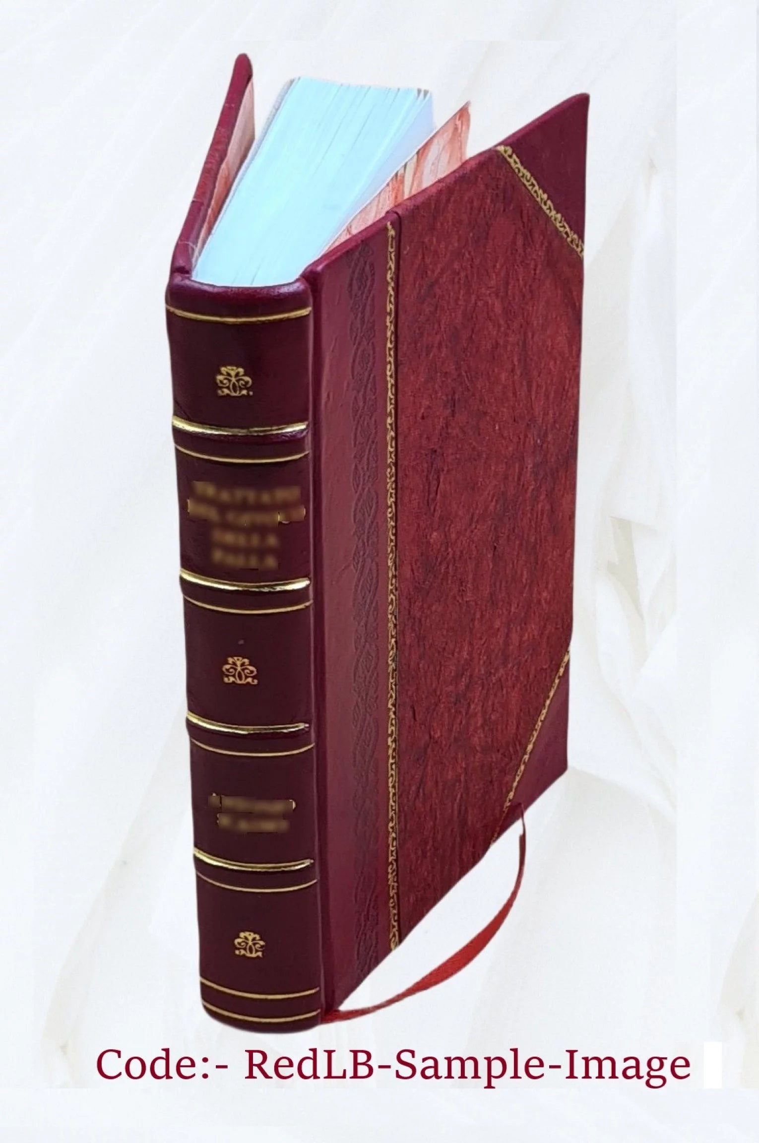 1906 Astoria City and Clatsop County Directory [Leather Bound] Y411233