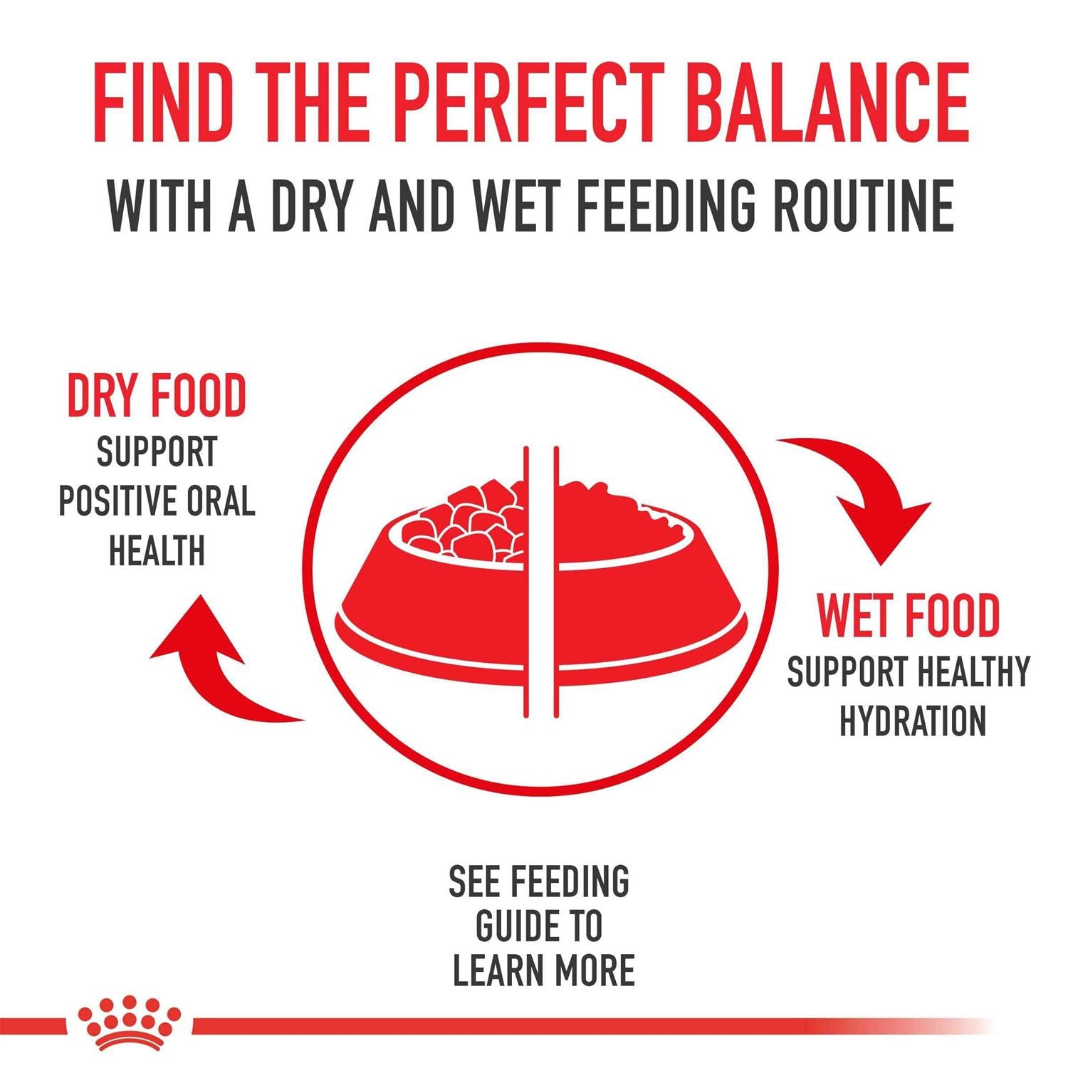 Royal Canin Siamese Breed Adult Dry Cat Food D633509