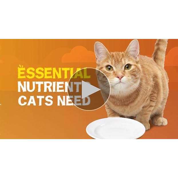 Purina Friskies Extra Gravy Pate Wet Cat Food T343175