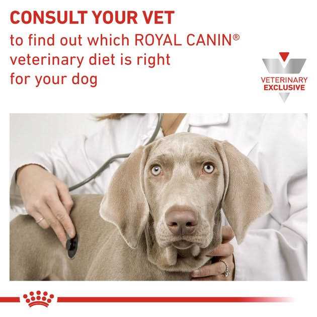 Royal Canin Veterinary Diet Adult Renal Support Early Consult Loaf in Sauce Canned Cat Food I792
