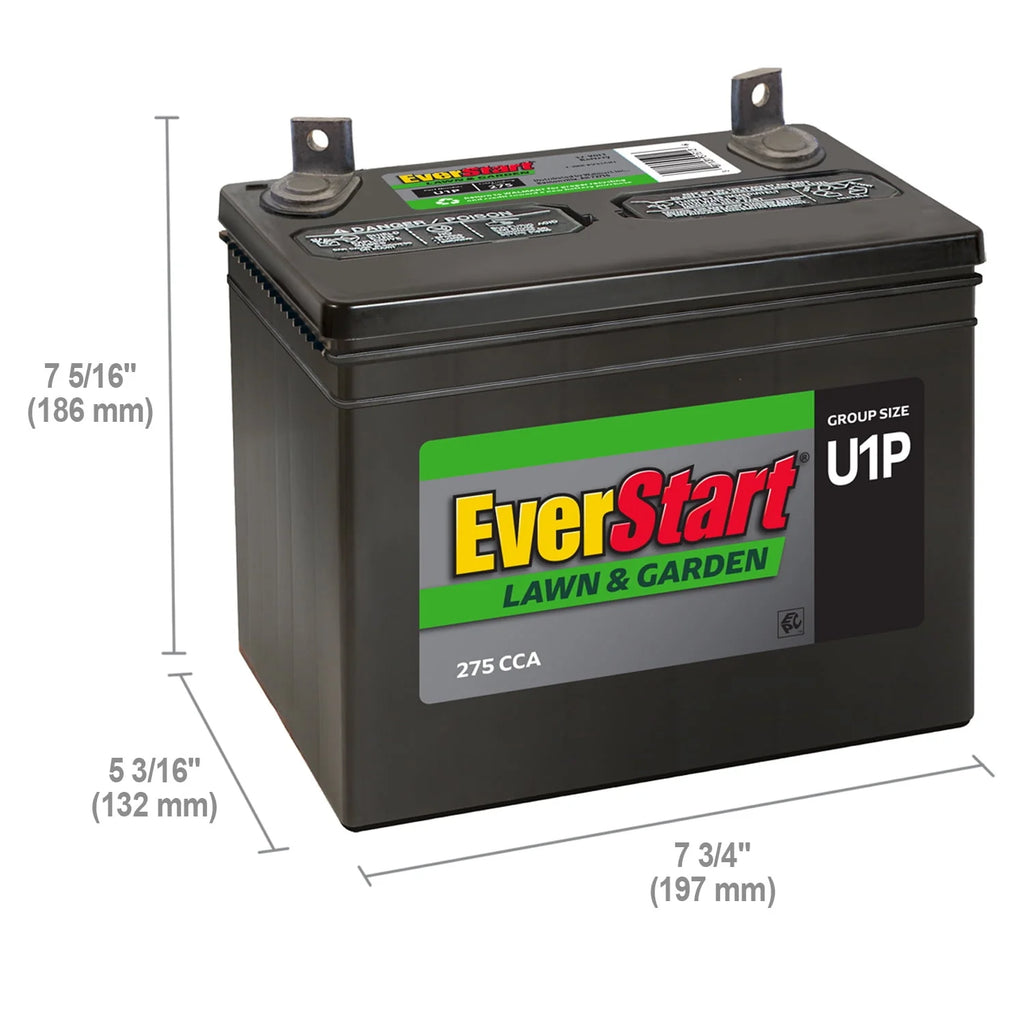 EverStart Lawn and Garden Lead Acid Battery, Group U1P 12V 275 CCA V3363