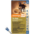 Advantage Multi for Dogs