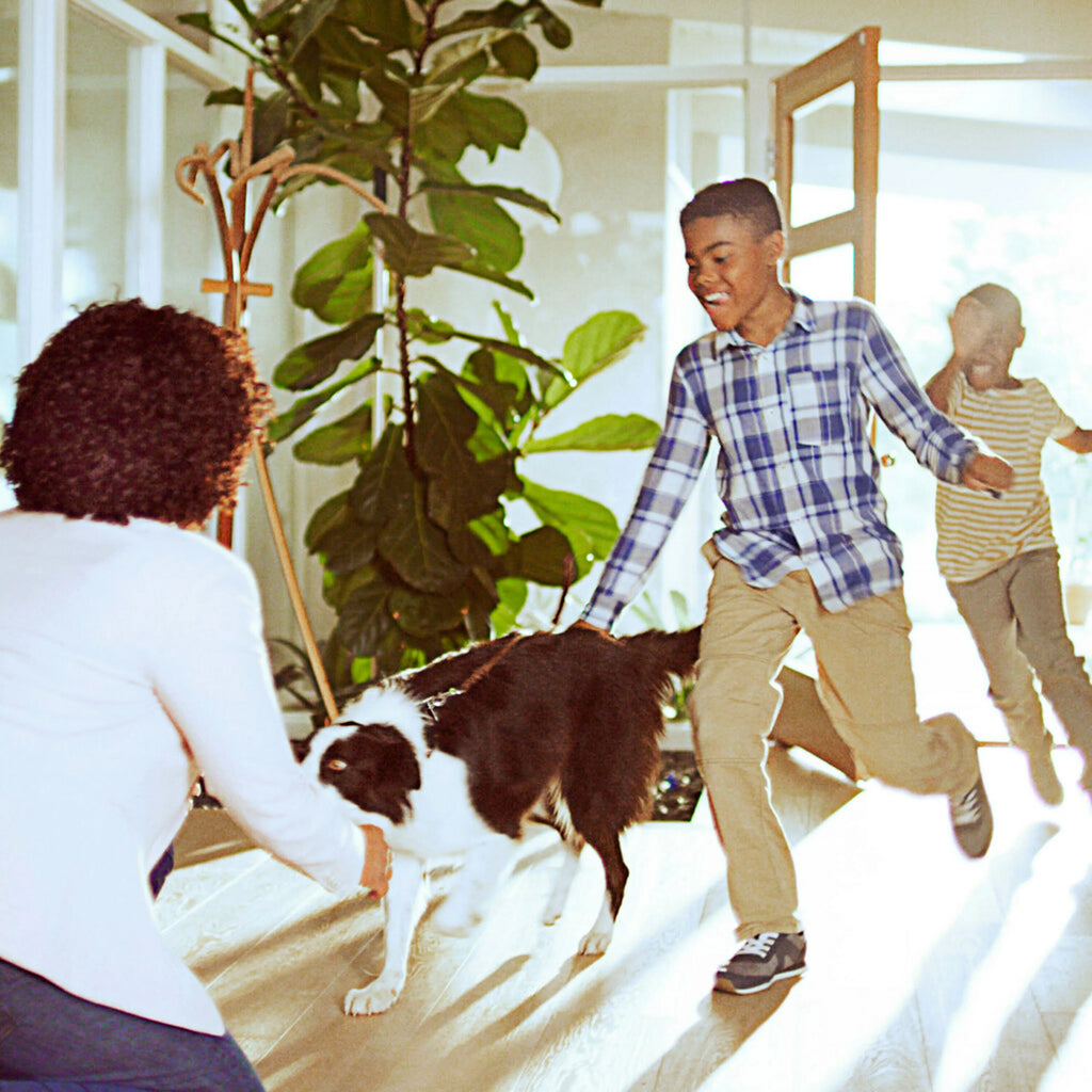 Filtrete by 3M Large Room Tower Air Purifier, True HEPA, White L8756