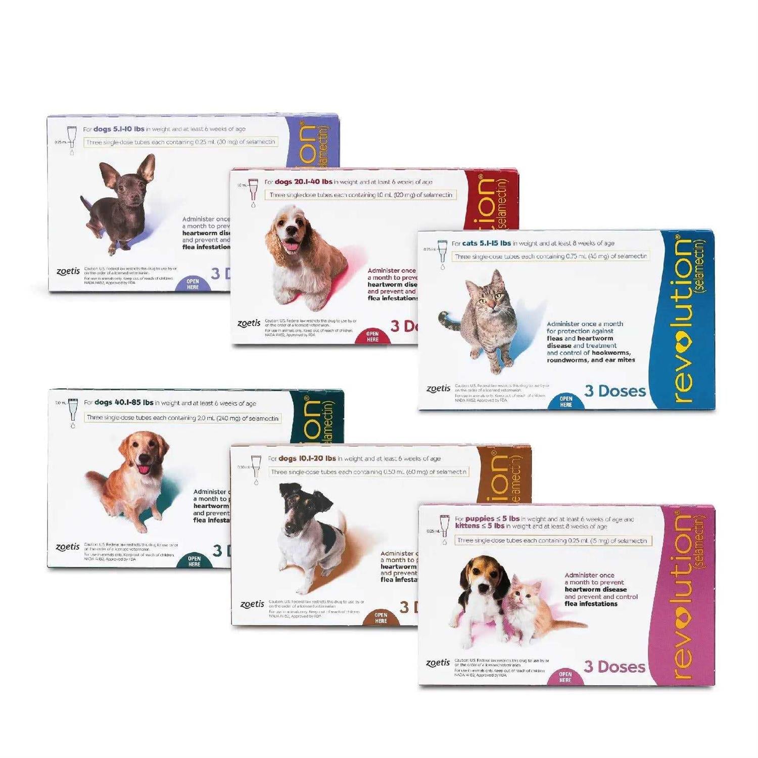 Revolution for Puppies & Kittens G1198