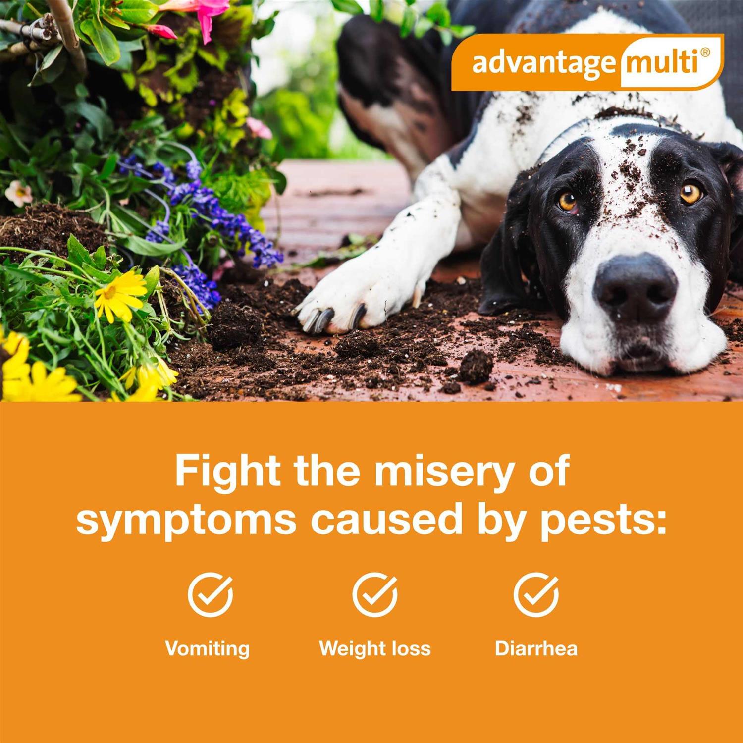 Advantage Multi for Dogs N9088