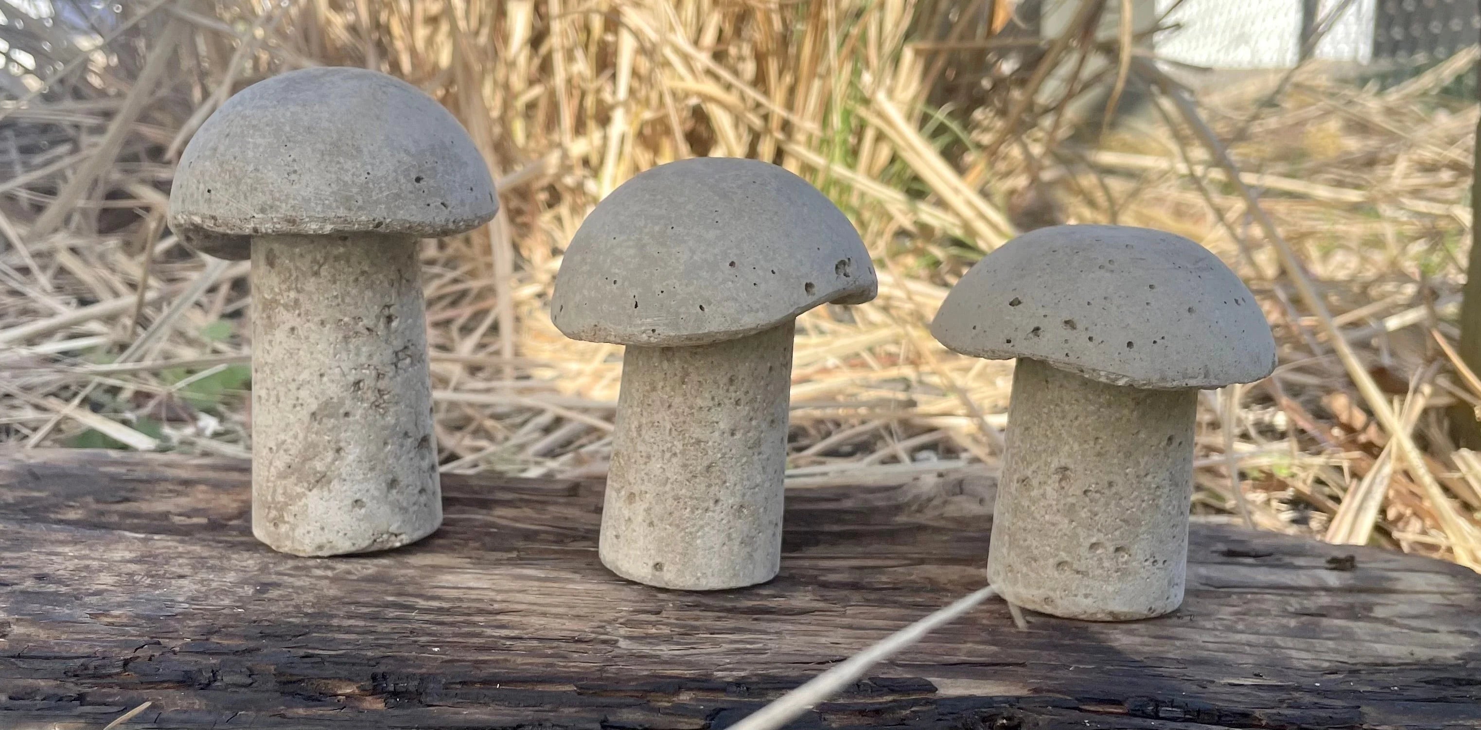 Cement Mushrooms Hypertufa Garden Decor for Fairy Garden D405