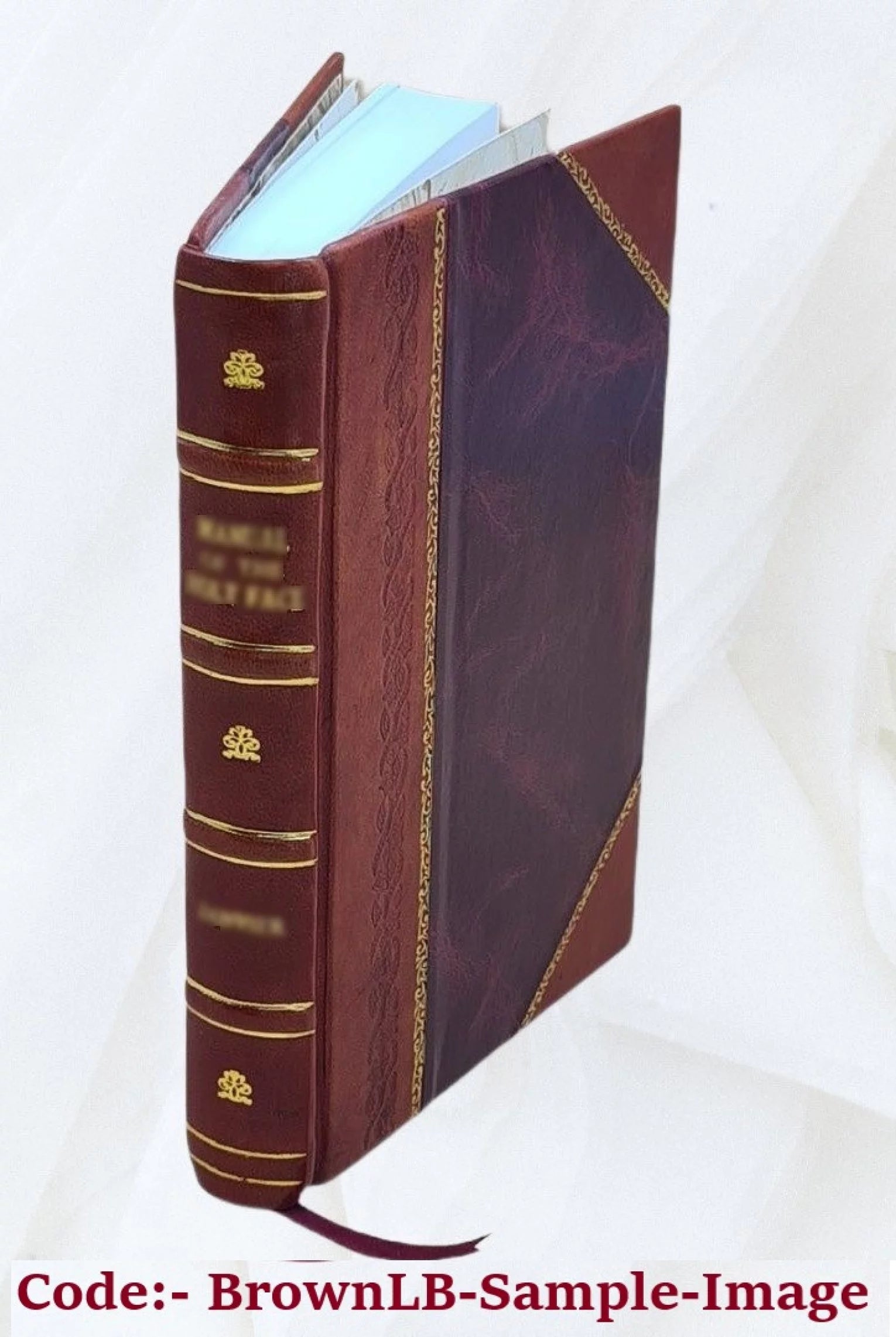 1906 Astoria City and Clatsop County Directory 1906 [Leather Bound]