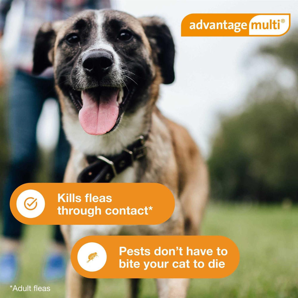 Advantage Multi for Dogs N9088