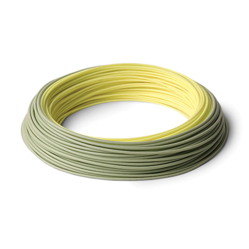 Rio InTouch Salmo Steelhead WF6F Fly Line R922175