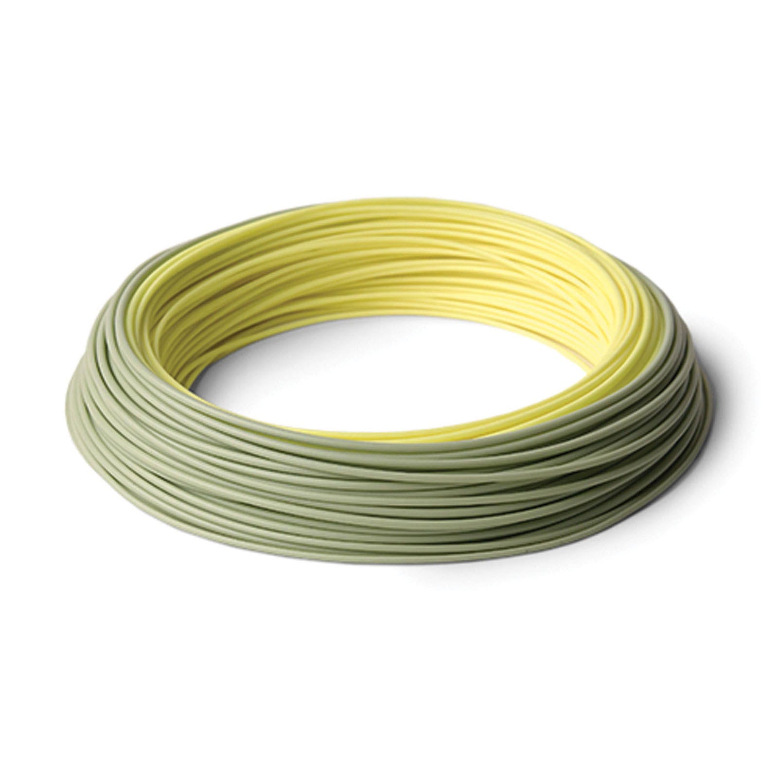 Rio InTouch Salmo Steelhead WF6F Fly Line R922175