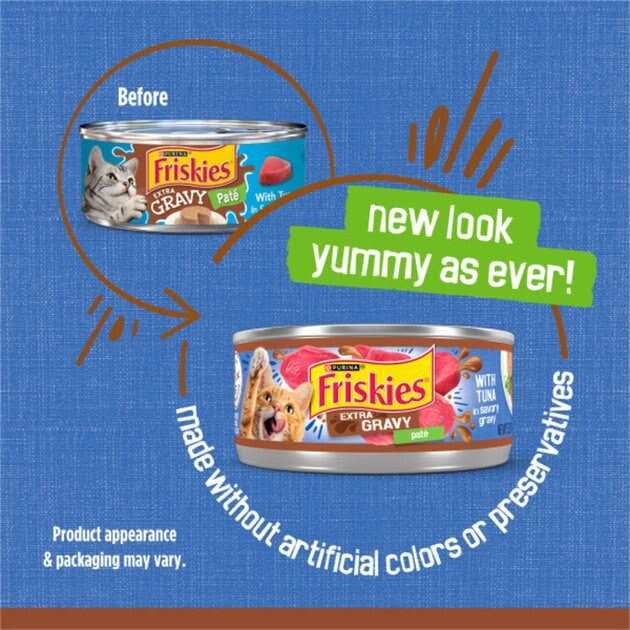 Purina Friskies Extra Gravy Pate Wet Cat Food T343175