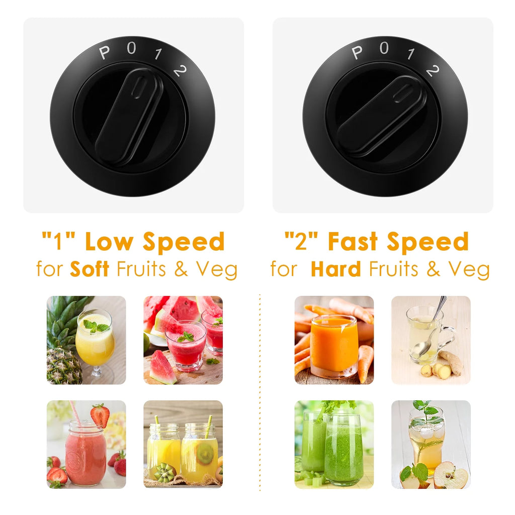 Stainless Steel Juicer Extractor, 3 Speeds, Easy Clean W83873