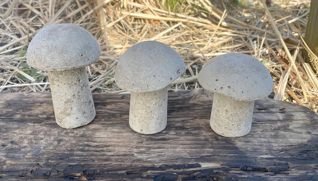 Cement Mushrooms, Hypertufa, Yard art, garden decor, Fairy Garden, Shrooms,Gnome garden, Toadstools