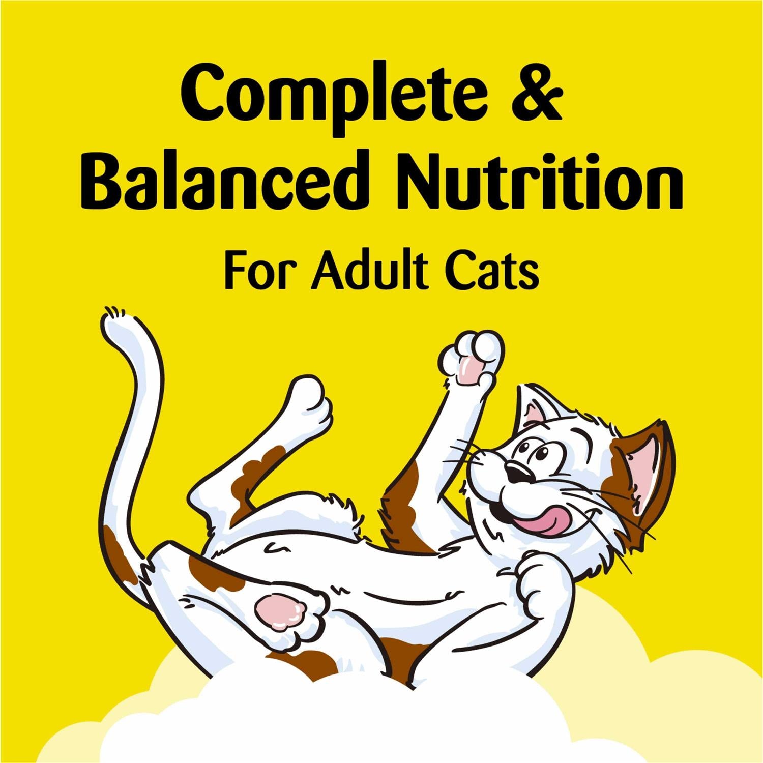 Temptations ShakeUps Crunchy and Soft Cat Treats U91743